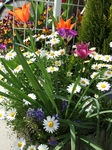s-DSCF2066.jpg