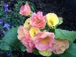 s-IMG_1045.jpg