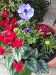 s-IMG_1059.jpg