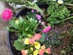 s-IMG_1063.jpg