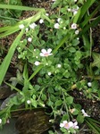s-IMG_1064.jpg