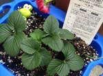 s-IMG_1068.jpg