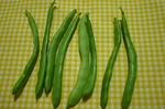インゲンマメ.jpg